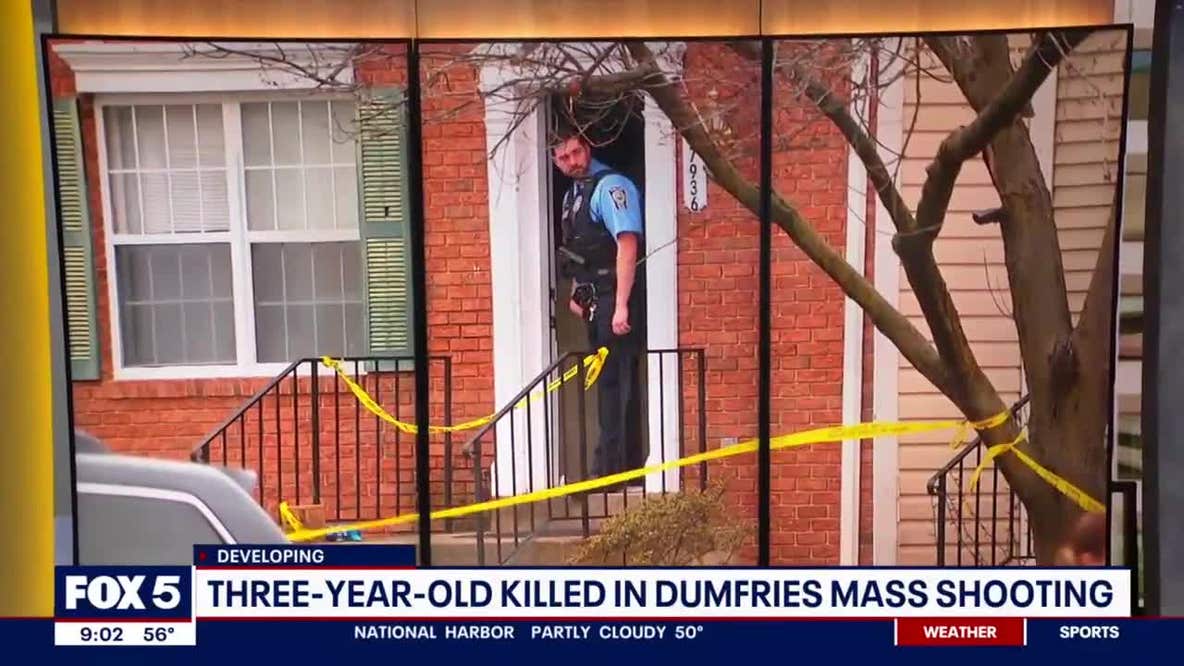 3-year-old killed in Dumfries mass shooting